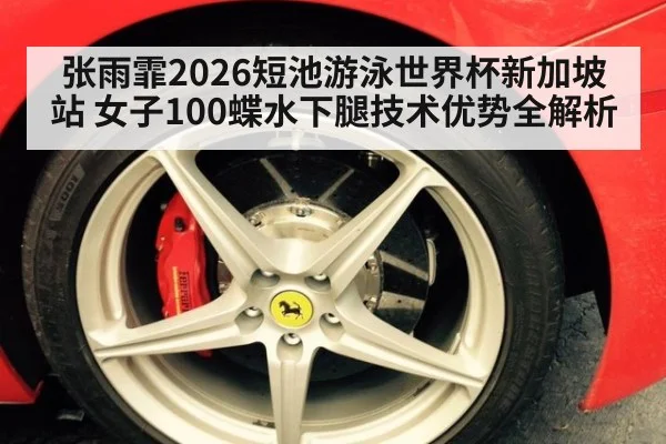 张雨霏2026短池游泳世界杯新加坡站 女子100蝶水下腿技术优势全解析 | jiuyou game