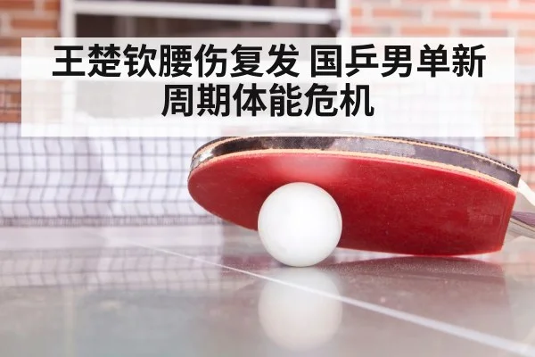 王楚钦腰伤复发 国乒男单新周期体能危机 | jiuyou game